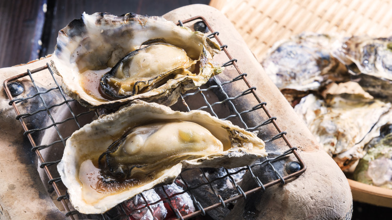 oysters cooked on rustic grill