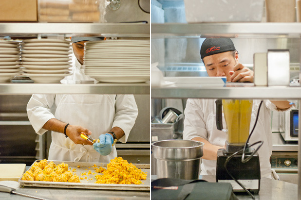 Risotto Balls and Squash Purée