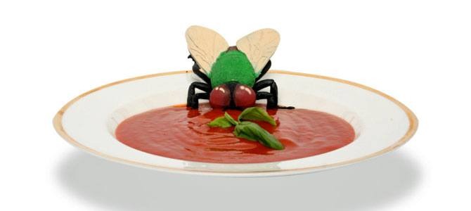 fly soup