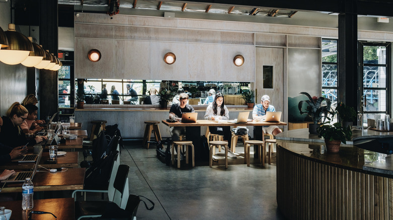 Interior of one of the Verve locations in LA
