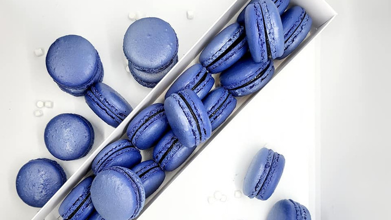 blue indigo macarons in box