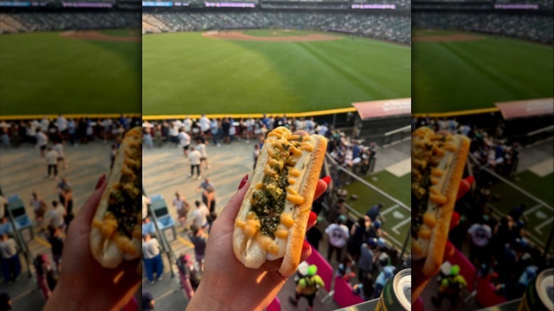 fan in the stadium stands holding a seattle dog