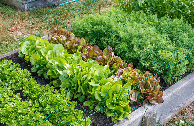 'Why We Eat What We Eat'