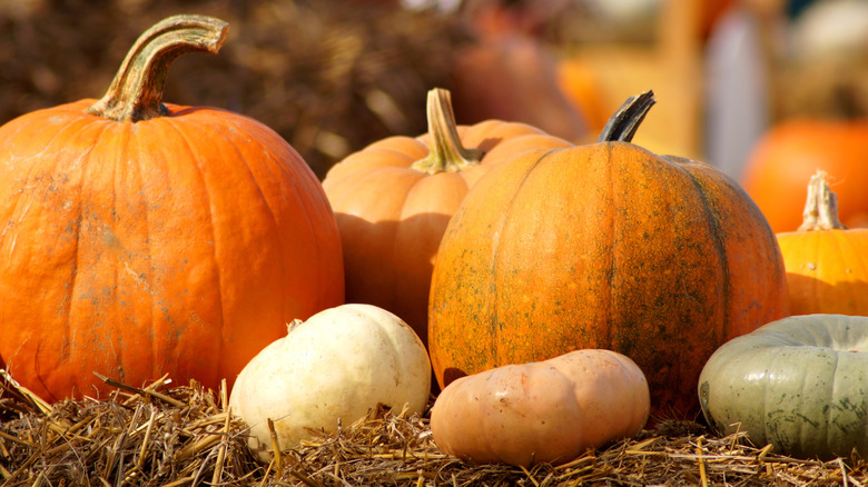 Different sized pumpkins are arranged on a hay bail.
