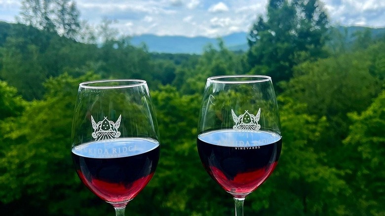 Two branded glasses of Ankida Ridge red wine in front of mountains and forest view