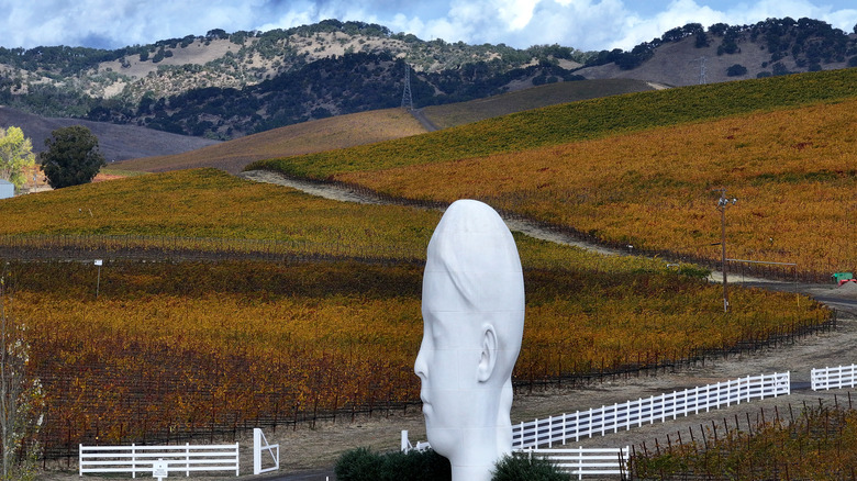 A large statue of a person's head at Donum Estate vineyards