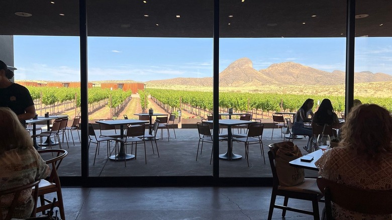 A view of the arizona mountain desert from inside a wine tasting room