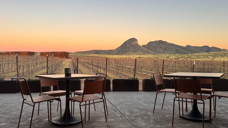 A view of the arizona mountain desert from inside a wine tasting room