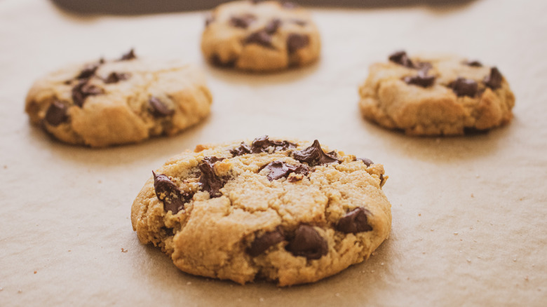 baked chocolate chip cookies