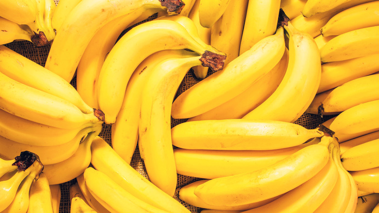 Bunches of bananas