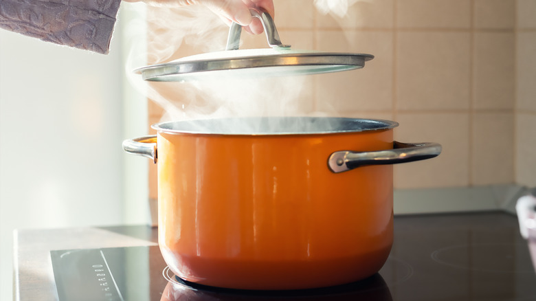 Steaming pot on a stove