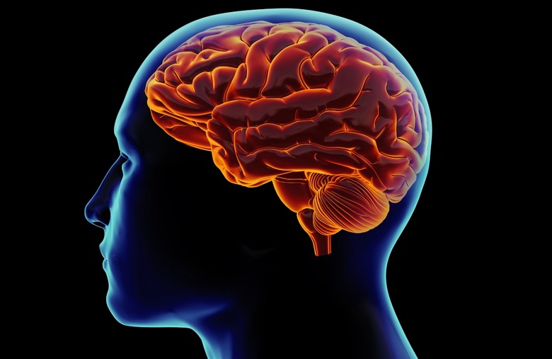 Bogus Health and Nutrition Facts You Learned in School