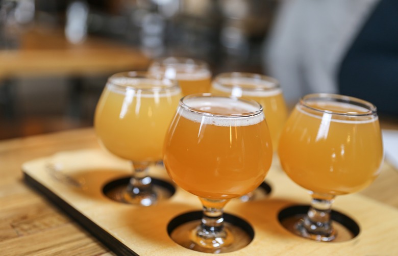 Northeast Style IPAs