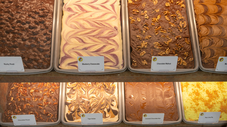 Trays of different fudge flavors with labels on each lined up in a case at Buc-ee's
