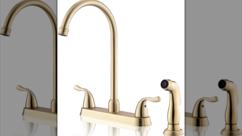 elegant gold faucet with sprayer