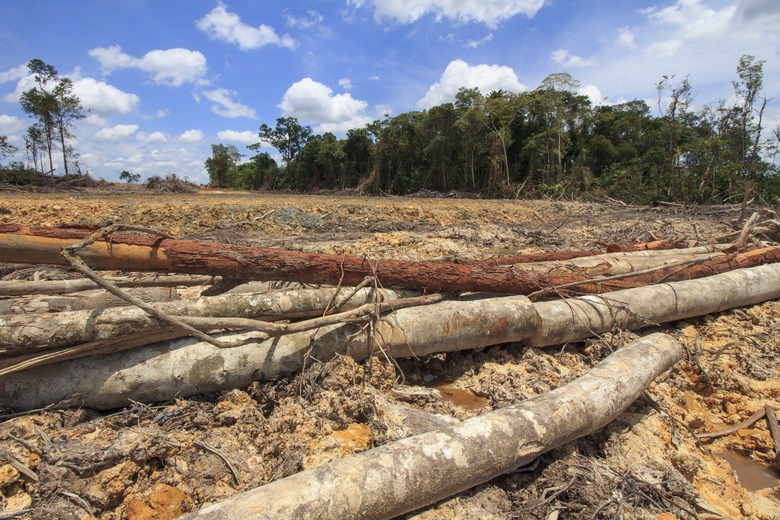 1,729,738 acres of forest land in South America disappeared between 2011 and 2015.