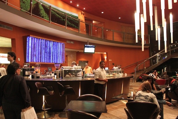 Octavio Café: What to Drink