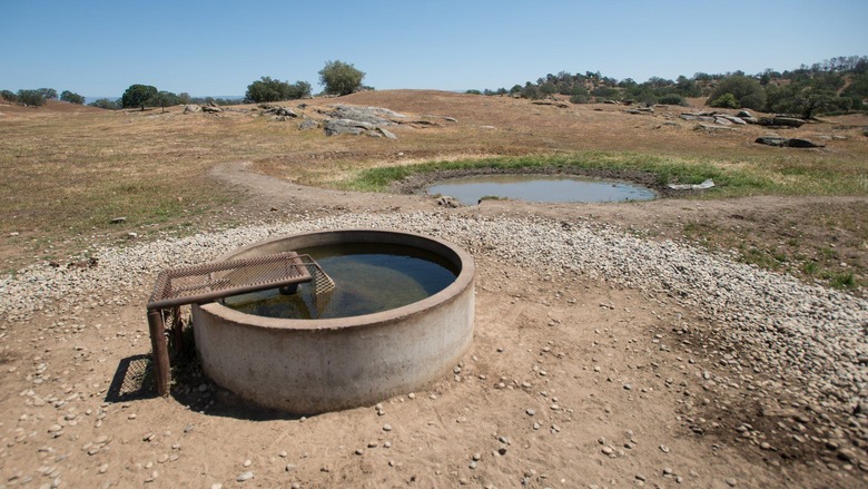 California District Accused of Diverting Water During Record Drought Faces $1.5 Million Fine 