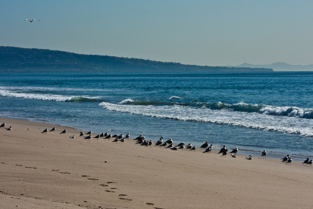 California's Top 10 Best Beaches for Bonfires