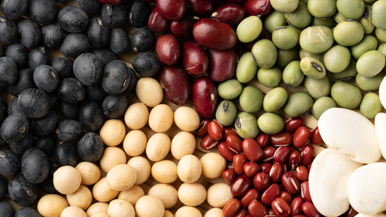 Various types of dried beans