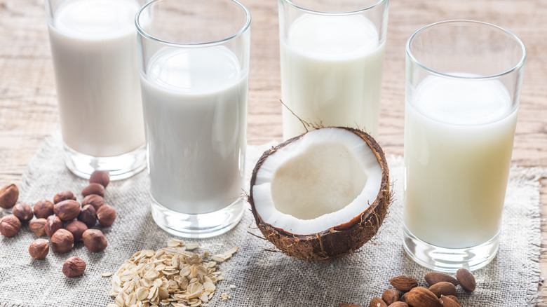 glasses of different types of nondairy milks