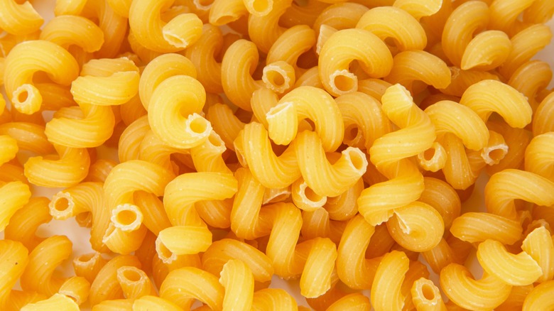Pile of uncooked cavatappi