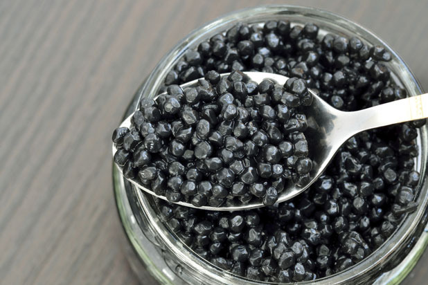 Caviar