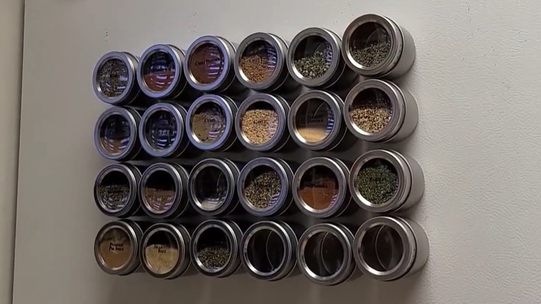 Magnetic spice containers on fridge
