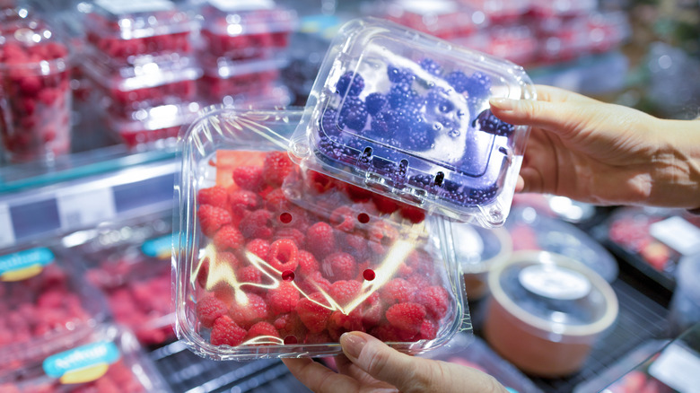 Woman holding container of raspberries and  blackberries