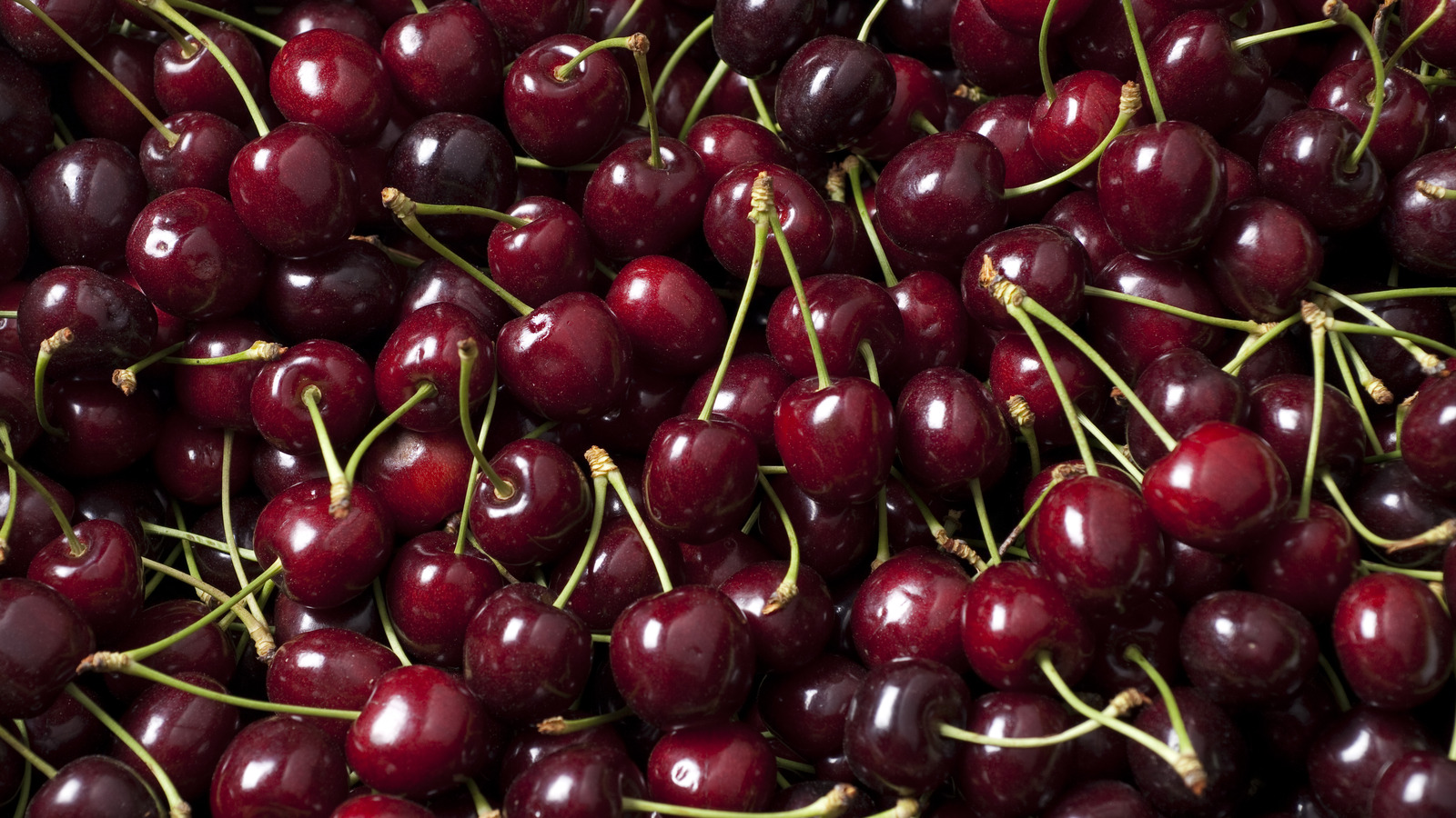 Chelan Cherries Are The Type You Need For A Totally Sweet Snack