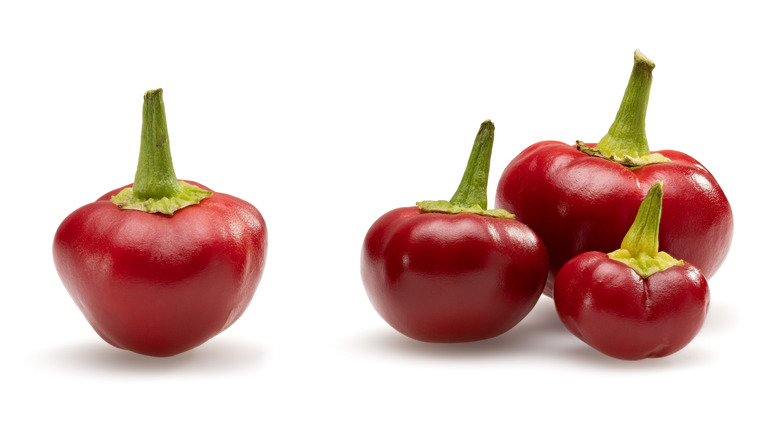 Cherry peppers on white background