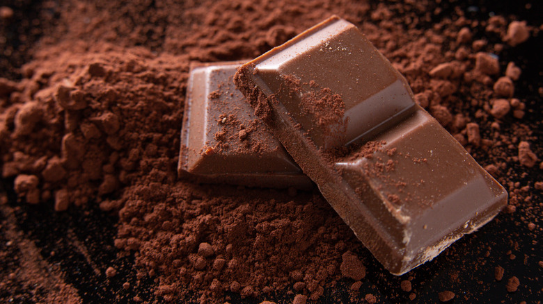 Chocolate pieces on cocoa powder