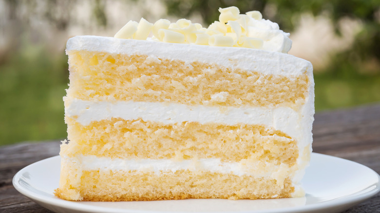 Vanilla sponge cake slice on plate