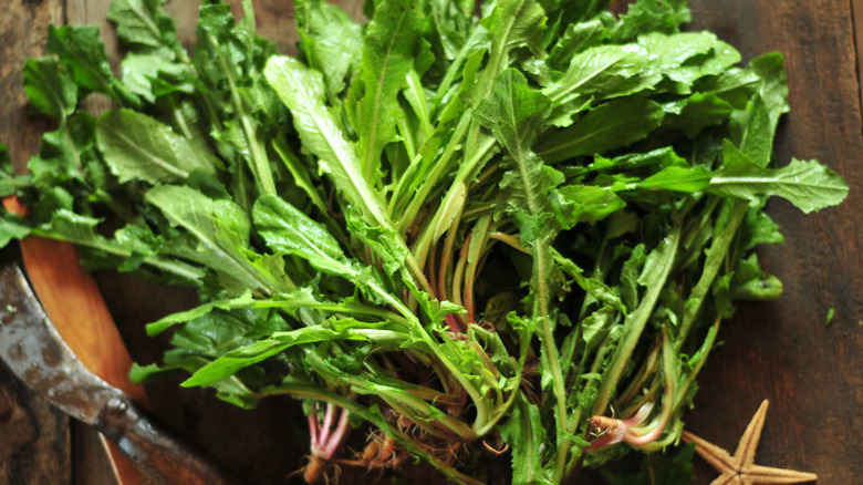 A pile of fresh dandelion greens on a table