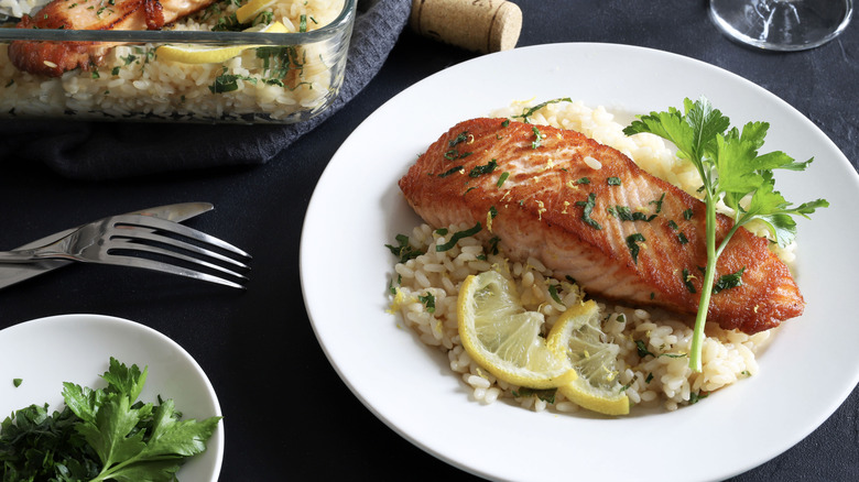 Salmon and rice on a plate