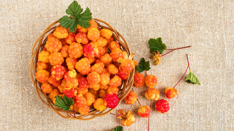 basket of cloudberry fruit