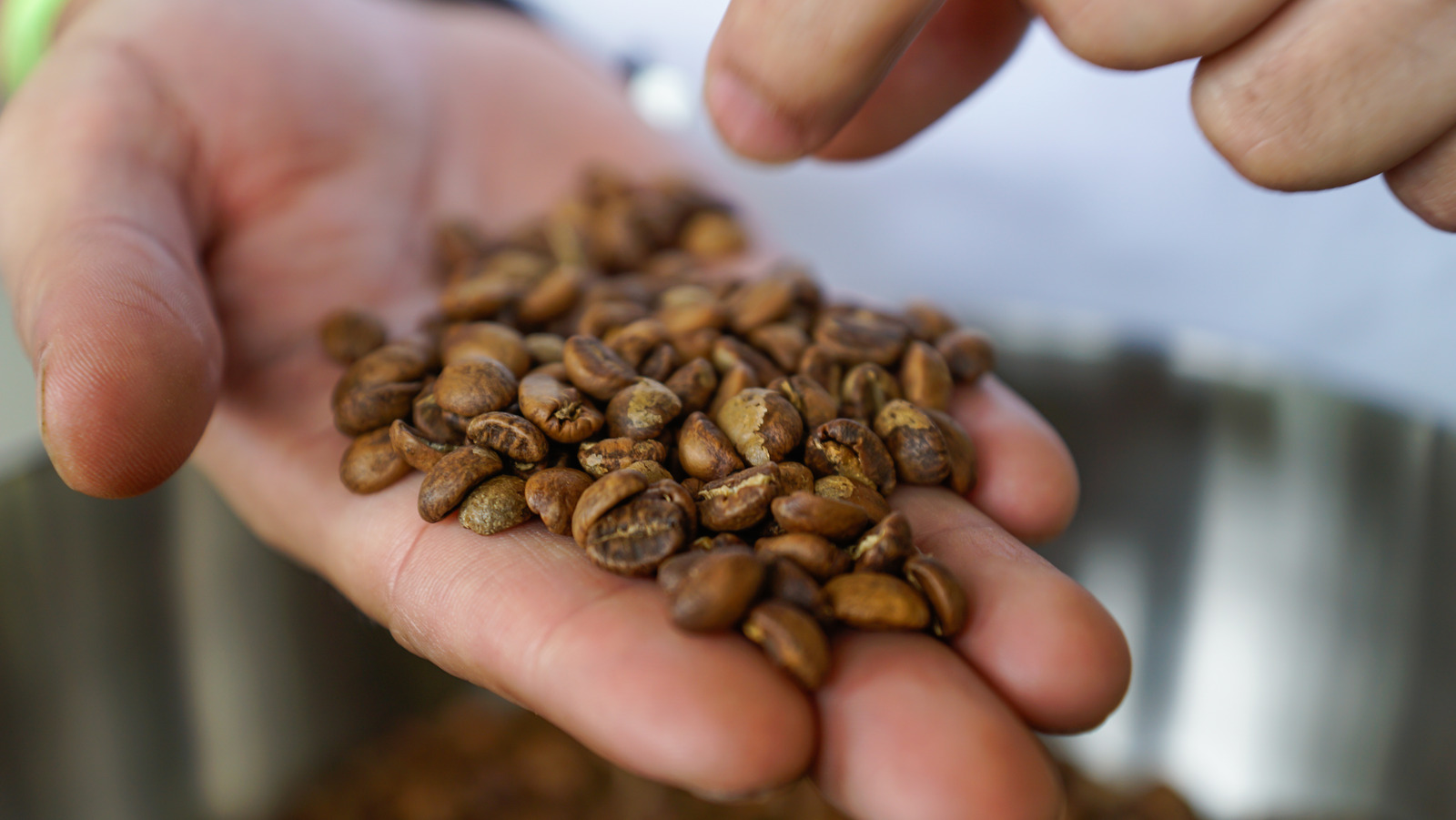 Coffee Pods Vs. Beans What's The Difference?