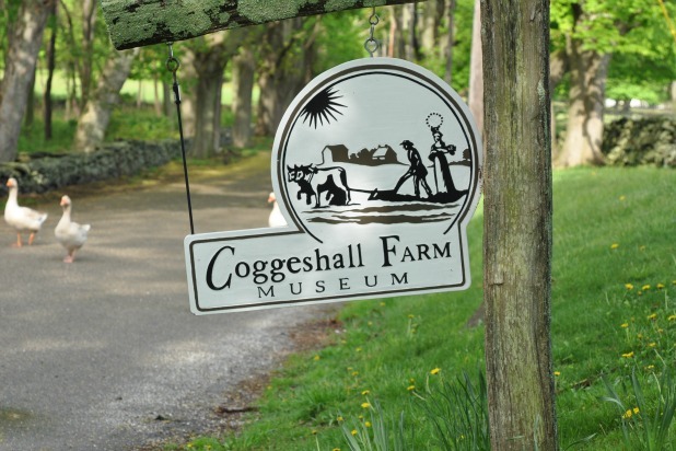 Coggeshall Farm Museum