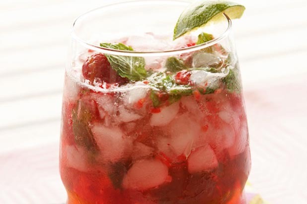 Ingredients, Inc. — Non-Alcoholic Mojito