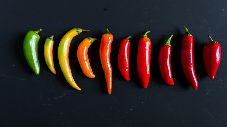 A series of chiles, with colors changing from green to yellow to orange to deeper and deeper shades of red