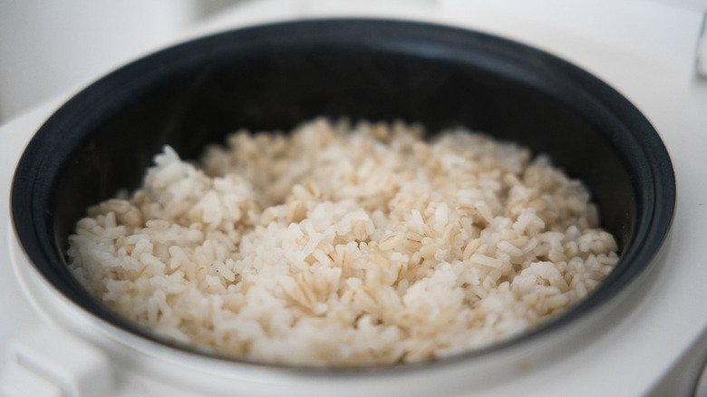 Cooked barley rice in a rice cooker