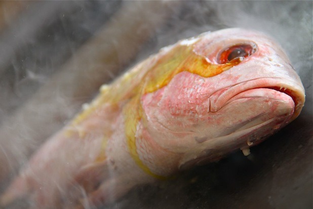 Snapper A La Plancha With Tomato Broth.