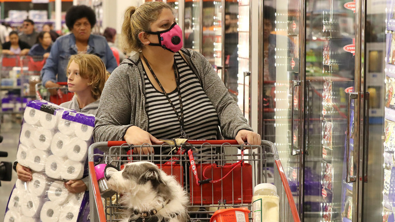 Costco shopper with dog in cart