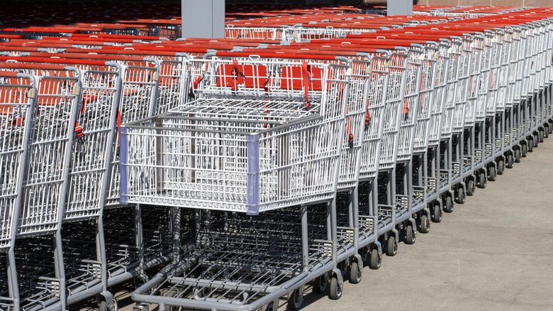 A row of Costco shopping carts