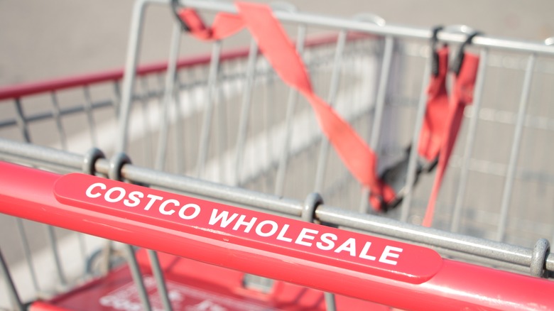 Costco shopping cart
