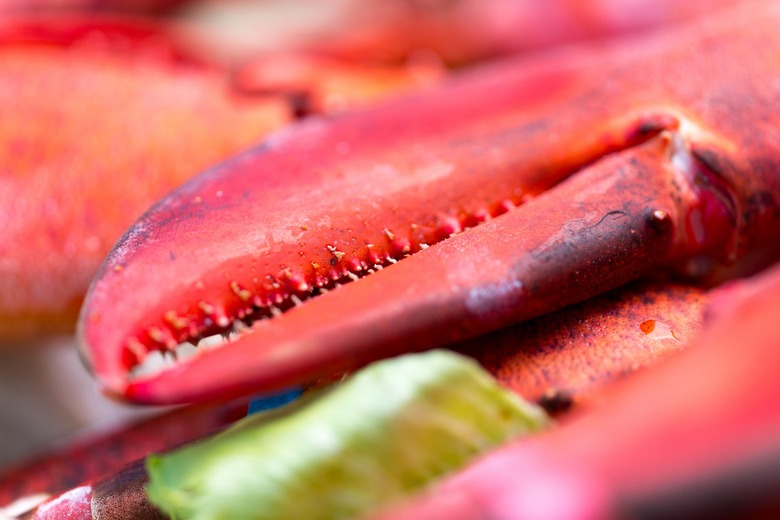 Costco Is Selling 3Pound Lobster Claws