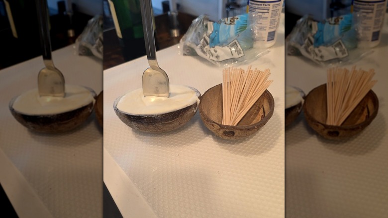 A kitchen counter with a coconut shell being used as storage