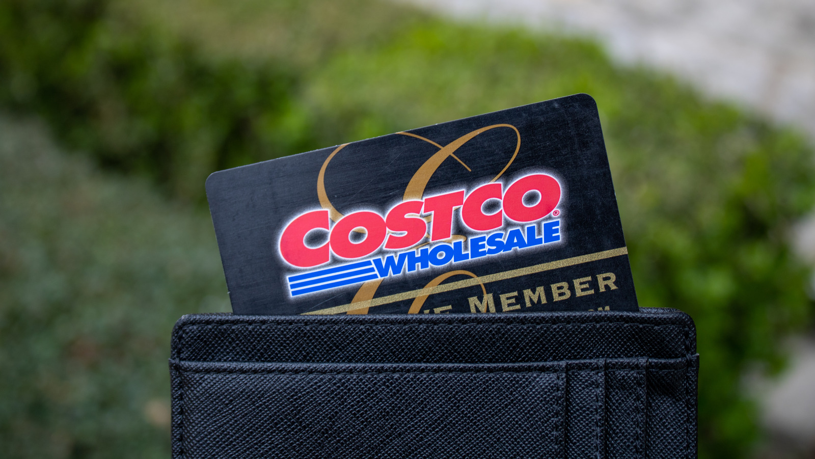 Costco's Hottest New Snack Is A Chili-Infused Honey - Vimarsana News