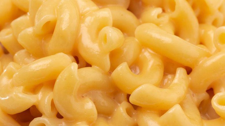 Closeup of macaroni and cheese