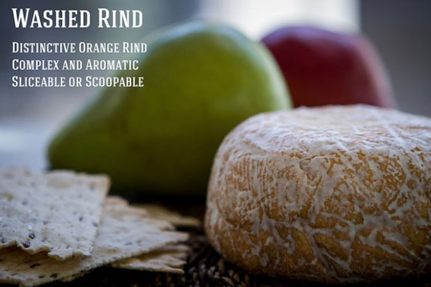 Washed Rind Cheese
